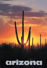 Postcard saguaro cactus for sale  STOCKPORT