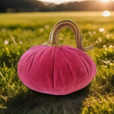 Zucca fermaporta velluto usato  Ferrara