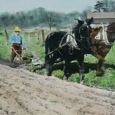 Horses pulling plow for sale  Portland