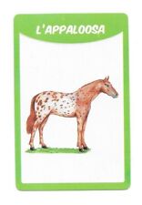 Carte races chevaux d'occasion  Nancy-