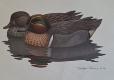 Richard sloan ducks for sale  San Antonio