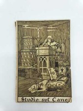 Studio sul cane usato Studio sul cane usato  Jesolo