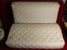 Stück nackenstützkissen ergo gebraucht kaufen  Frankfurt (Oder)