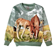 Mädchen sweatshirt pferd gebraucht kaufen  Elsoff, Rehe, Oberroßbach