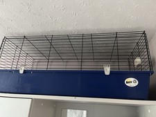 Guinea pig cage for sale  PEWSEY