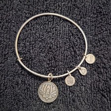 Alex ani expandable for sale  Valdosta