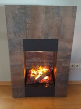 Elektrokamin ewt ravello gebraucht kaufen  Meckenheim