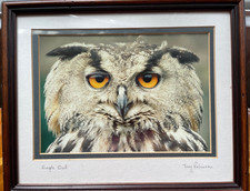 Eagle owl original for sale  UK