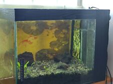 Acquario 100lt completo usato  Latina
