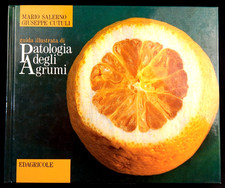 Patologia degli agrumi usato  Torino