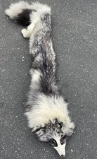 beautiful fur for sale beautiful fur for sale Ellington
