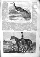 Old antique print for sale  UK