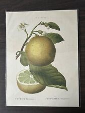 poster kunstdruck bild gebraucht kaufen  München