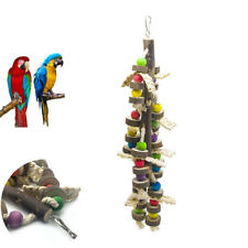 Giant macaw parrot for sale  HATFIELD