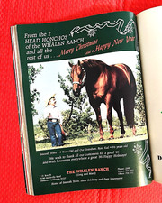 1985 quarter horse for sale  Chula Vista