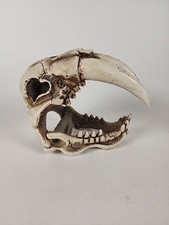 Saber tooth tiger for sale  Chandler