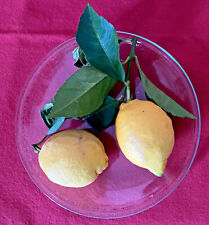 Semi limoni della usato  Italia