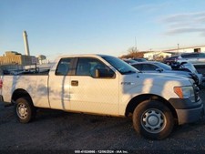 Passenger headlight halogen for sale  Remsen