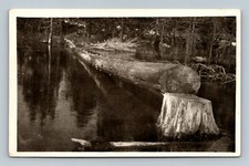 Cut log river for sale  Grand Forks