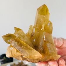 Racimo de cristal de cuarzo citrino ahumado natural 357 g muestra mineral curación F136 segunda mano  Embacar hacia Mexico