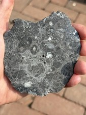 Lunar meteorite nwa for sale  Saint Paul