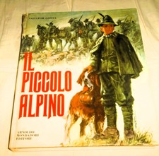 Piccolo alpino salvator usato  Italia