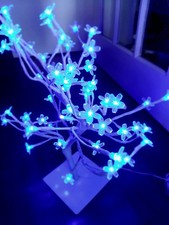 Fairy light blue for sale  FAREHAM