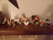 Large lot rooster for sale  Charleston