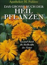 Grosse buch heilpflanzen gebraucht kaufen  Berlin