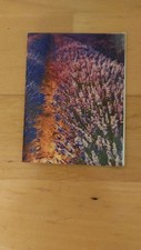 Sachet lavande savoie d'occasion  Neuilly-sur-Marne