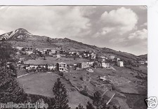 Corniolo sulla 310 usato  Roma