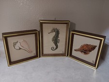 Vtg seashell seahorse for sale  Chico