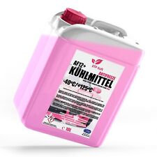 10l antigelo rosso usato  Roma
