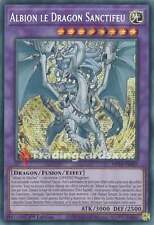 Albion dragon sanctifeu usato  Spedire a Italy