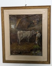 Pugni mungitura olio usato  Gavirate