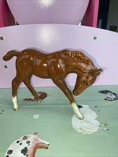 Beswick chestnut foal for sale  MALTON