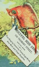1870 oriental bird for sale  Holland