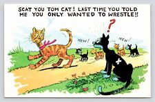 Humor black tom for sale  Torrance