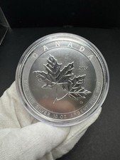 2024 magnificent silver d'occasion  Expédié en Belgium