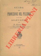 Piluso salvatore guida usato  Italia