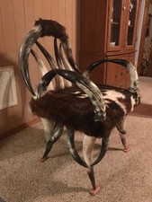 Texas longhorns chair for sale  Danielsville