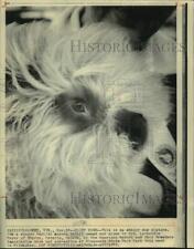 1975 press photo for sale  Memphis
