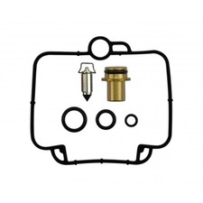 Carburetor repair kit for sale  BRIGHTON