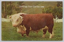 Greetings chariton iowa for sale  Louisville