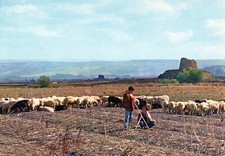 Torralba nuraghe s.antine usato  Corinaldo
