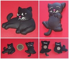 Gatto nero calamite usato  Capannori