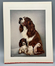 Vintage ILO KOPLAND Angielski spaniel springer i litografia szczeniaka 6" x 8"!, używany na sprzedaż  Wysyłka do Poland