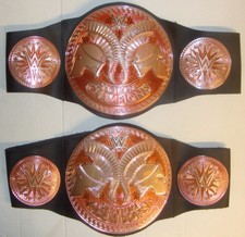 Wwe kids wrestling for sale  FALMOUTH
