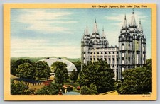 Temple square salt for sale  Apex