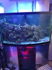 Gallon bow front for sale  Brooklyn